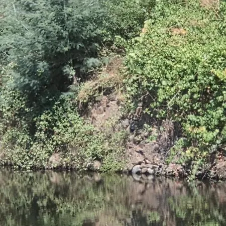 Zen Em Leiria Vakantiehuis Pedrogao Grande