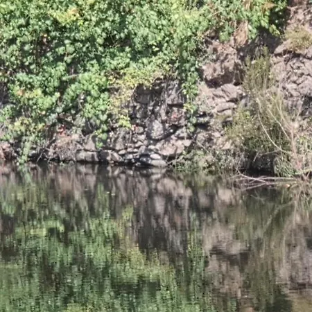 Zen Em Leiria Vakantiehuis