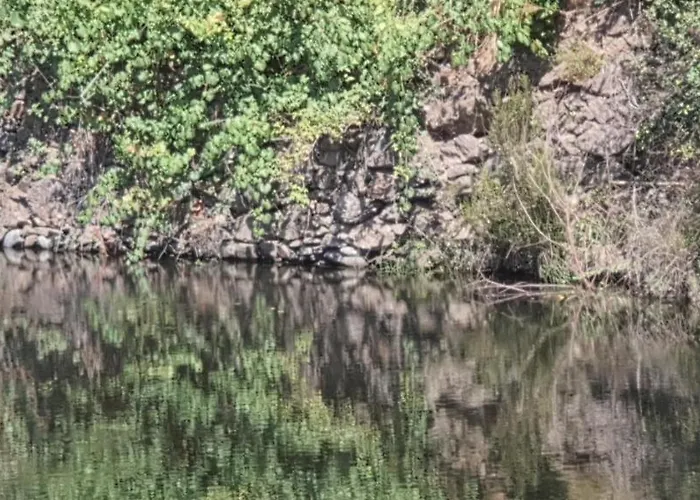 Zen Em Leiria Дом отдыха