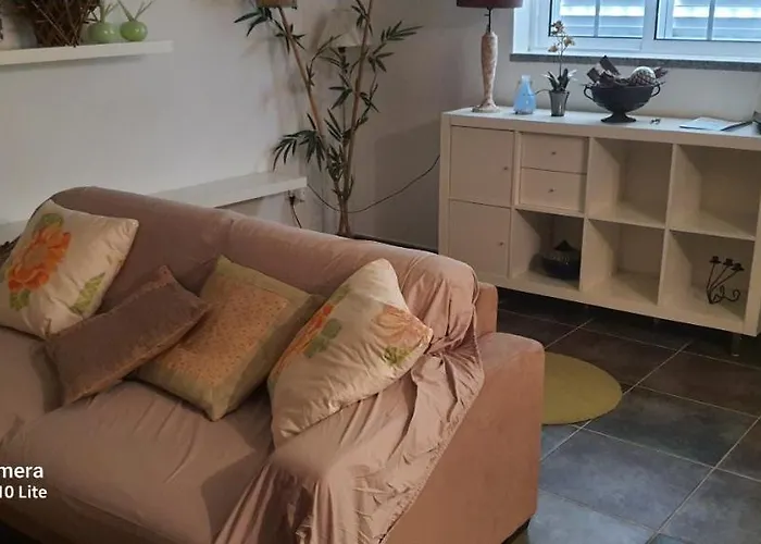 Дом отдыха Zen Em Leiria Педроган-Гранди